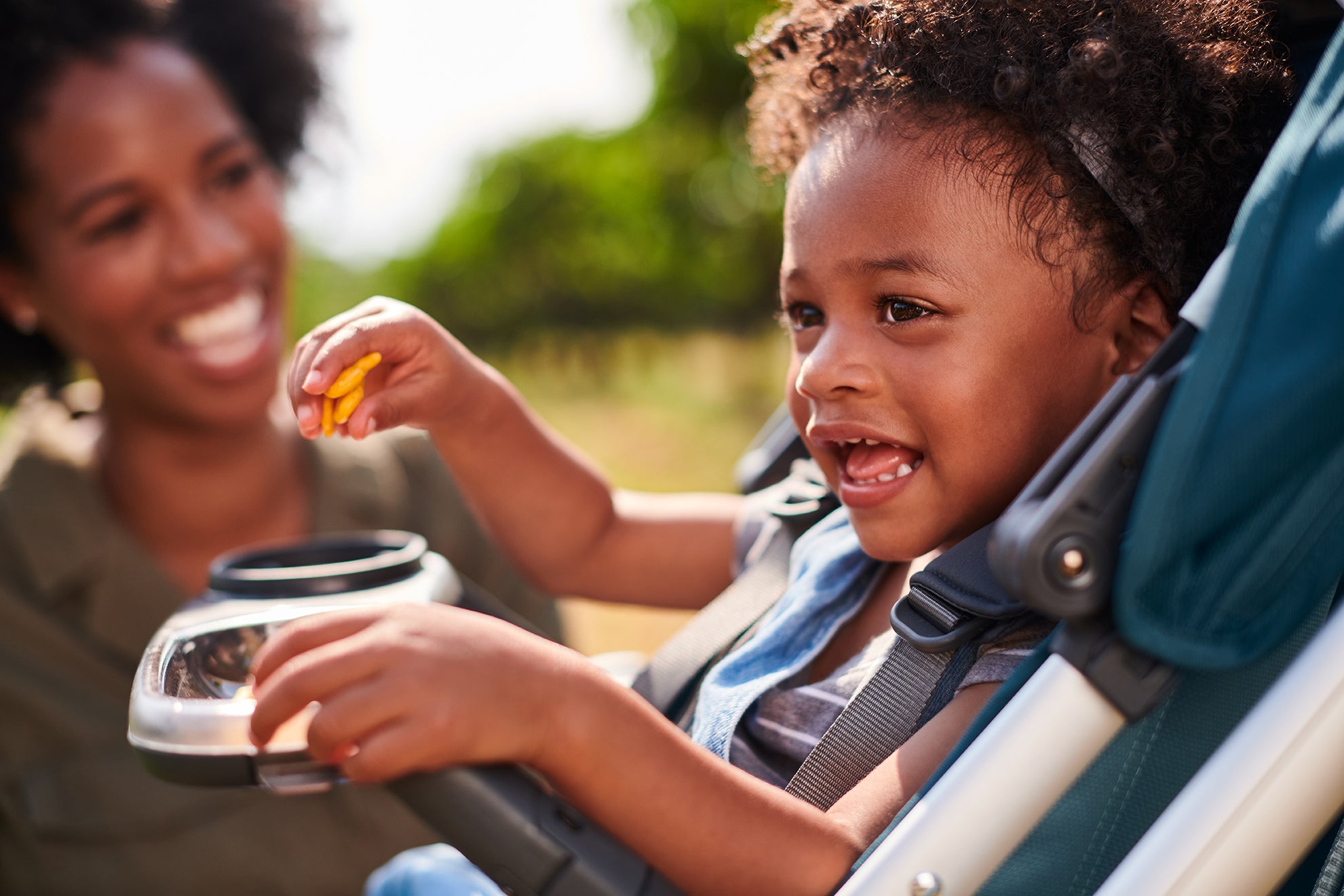 Universal Accessories