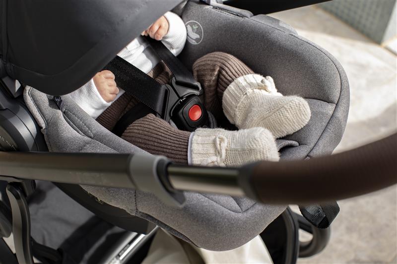 A newborn asleep in an UPPAbaby Mesa capsule on a Vista pram