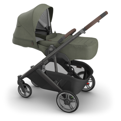 UPPAbaby Cruz V3 Infant Cover - Evelyn