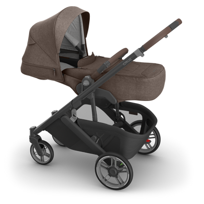 UPPAbaby Cruz V3 Infant Cover - Owen